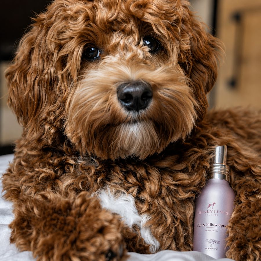 Spray pentru mașină și pernă, santal, iasomie și vanilie, poza 2